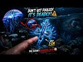 Don’t Touch This Tiny Blue Dragon 😳 It’s Deadly!