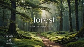 Forest Whispers the Kind of Magic 🍃🌲 Soft Piano for Anxiety Relief & Deep Calm screenshot 5