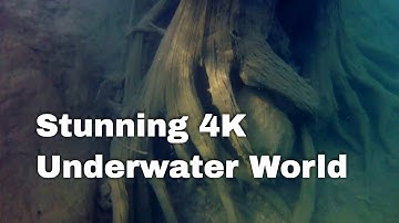 Stunning 4K Underwater World - GoPro Hero5 Session Test #GoPro #Underwater