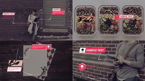 Minimalist Callout Titles Premiere Pro Templates