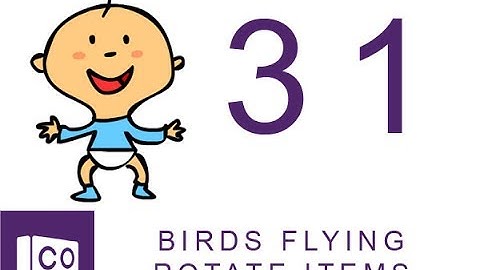 CoSpace 31 Birds Flying