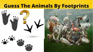 Guess The Animals By Footprints In 10s | Memory Power | Brain game | Puzzles | Test your Brain |