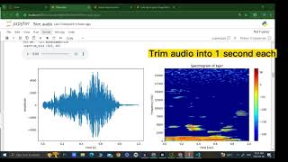 The Classification of Animal Sounds due to Environmental Impact based on Deep Learning Techniques screenshot 4