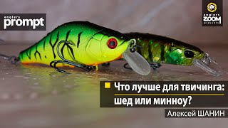 Что лучше для твичинга: шед или минноу? Алексей Шанин. Anglers Prompt