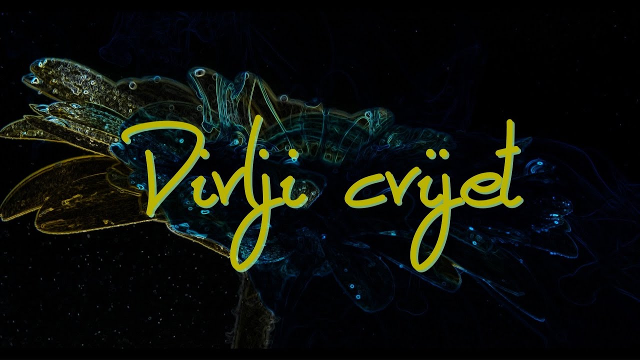 Goran Bare & Majke - Divlji cvijet (Official lyric video)