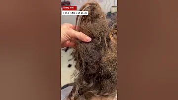 Колтун размером во всю голову!