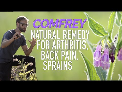 Videó: Comfrey - Hasznos Anyagok és A Comfrey Gyógyászati receptek Használata