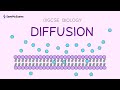 Molecular Movement: The Dynamics of Diffusion in Everyday Life