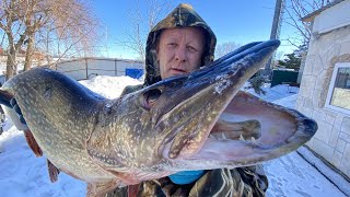 видео: Как засолить красную рыбу и икру 🐟 бутерброд с икрой🔴филе красной рыбы картинка: Как засолить красную рыбу и икру 🐟 бутерброд с икрой🔴филе красной рыбы