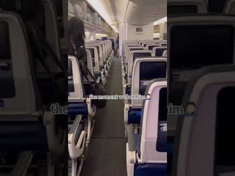 Pigeon causes delay