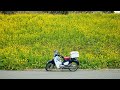 【スーパーカブC125】春を感じるツーリング