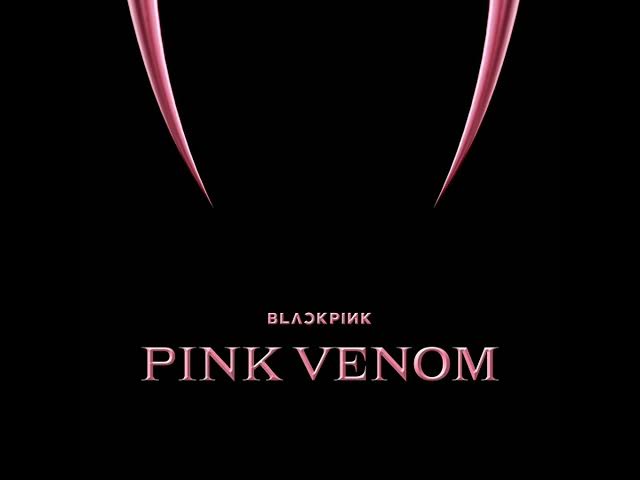 BLACKPINK - Pink Venom Official Instrumental