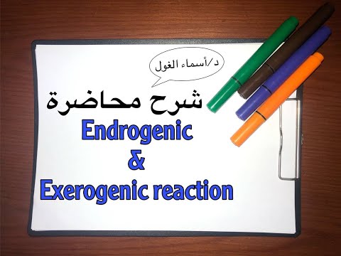 Bioenergetic1| Endrogenic & Exerogenic reactions