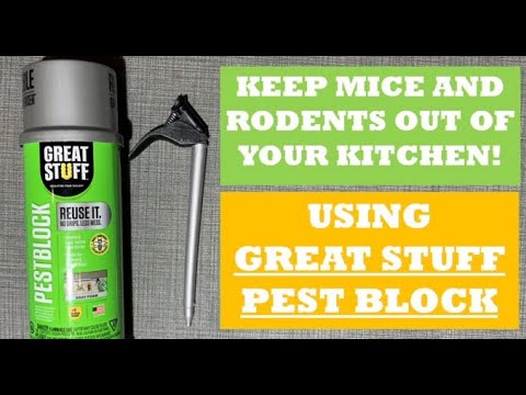 Keep Mice and Rodents out of your Kitchen and House Using Great Stuff Pest Block