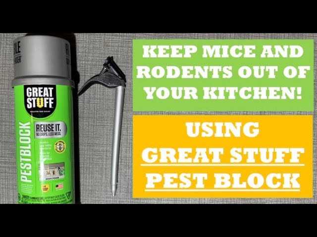 How to Stop Rodents With Expanding Foam