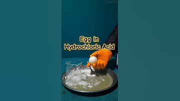 Egg and Hydrochloric Acid Reaction #youtubeshorts#experiment#science