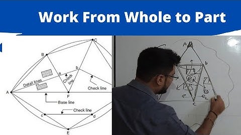 Work from Whole to Part | Principal of Surveying | Surveying