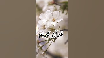 قران كريم بصوت القارئ اسلام صبحي