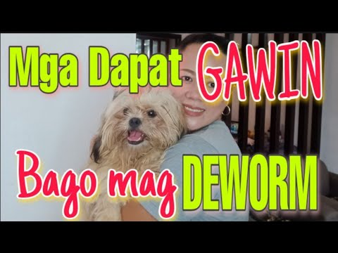 Mga Dapat Gawin Bago Mag-Deworm / Bakit Kailangan Mag-Deworm