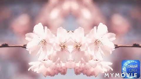 مقطع جميل بصوت عبد الباسط عبد الصمد رحمه الله سورة لقمان "ووصينا الإنسان....."