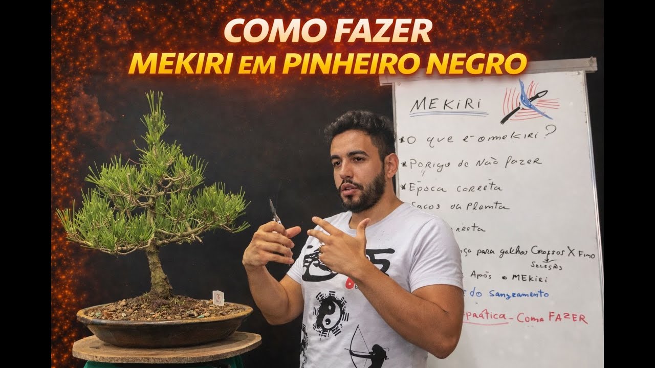 SEGREDOS do MEKIRI 🌳 | Técnicas Avançadas para PINHEIRO NEGRO – Kuromatsu #bonsai #mekiri
