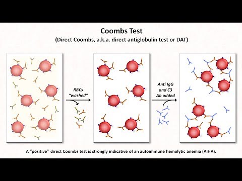 Video: Cum se verifică hemoliză?