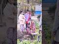 जय माता दी 🌺🙏 #viral #viral