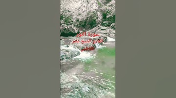 القرآن ##الكريم #المصحف #تلاوات_رائعة #اكسبلور #