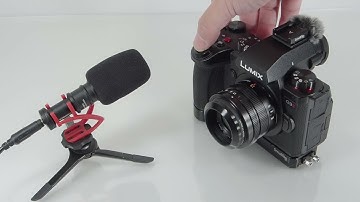 Panasonic LUMIX DC-G9M2 electronic pre-curtain shutter single shot sound