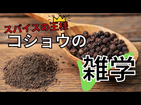 【料理雑学】日本の調味料ランキング○位！胡椒の雑学