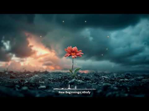 Afrofy - New Beginnings