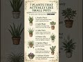 7 Plants That LOVE Tiny Pots 🪴✨ (Stop Repotting!) #PlantCare #Houseplants #PlantTips