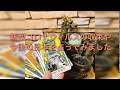 コロナの収束と今後の日本を占ってみたら予期せぬ結果が