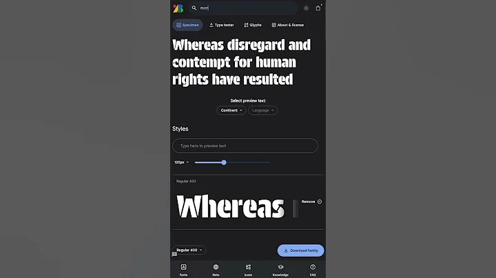 Add Google Fonts to you ReactJS TailwinCSS App