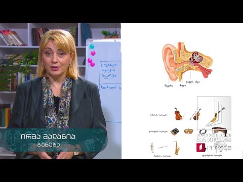 ბუნება, III კლასი - ბგერა და მუსიკა #ტელესკოლა