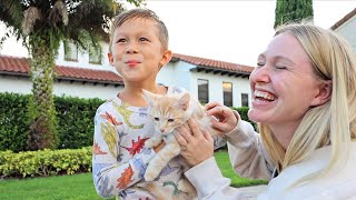 kids reaction to the new kitten!!! (travel vlog)