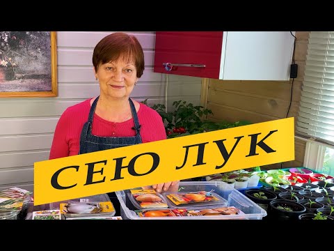 Посев семян лука