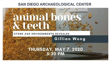 Animal Bones and Teeth: Stone Age Environments Revealed