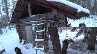 видео: ОХОТА НА КУНИЦУ КАПКАНАМИ / ПРОМЫСЕЛ В ТАЙГЕ 2021 / ОДИН В ТАЙГЕ / ИЗБА / БЫТ / ЖЕРЛИЦЫ / НАЛИМ картинка: ОХОТА НА КУНИЦУ КАПКАНАМИ / ПРОМЫСЕЛ В ТАЙГЕ 2021 / ОДИН В ТАЙГЕ / ИЗБА / БЫТ / ЖЕРЛИЦЫ / НАЛИМ