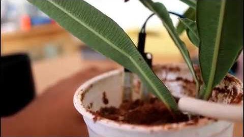 Automatic Plant Watering System/ATAL TINKERING MARATHON/Agri-Tech