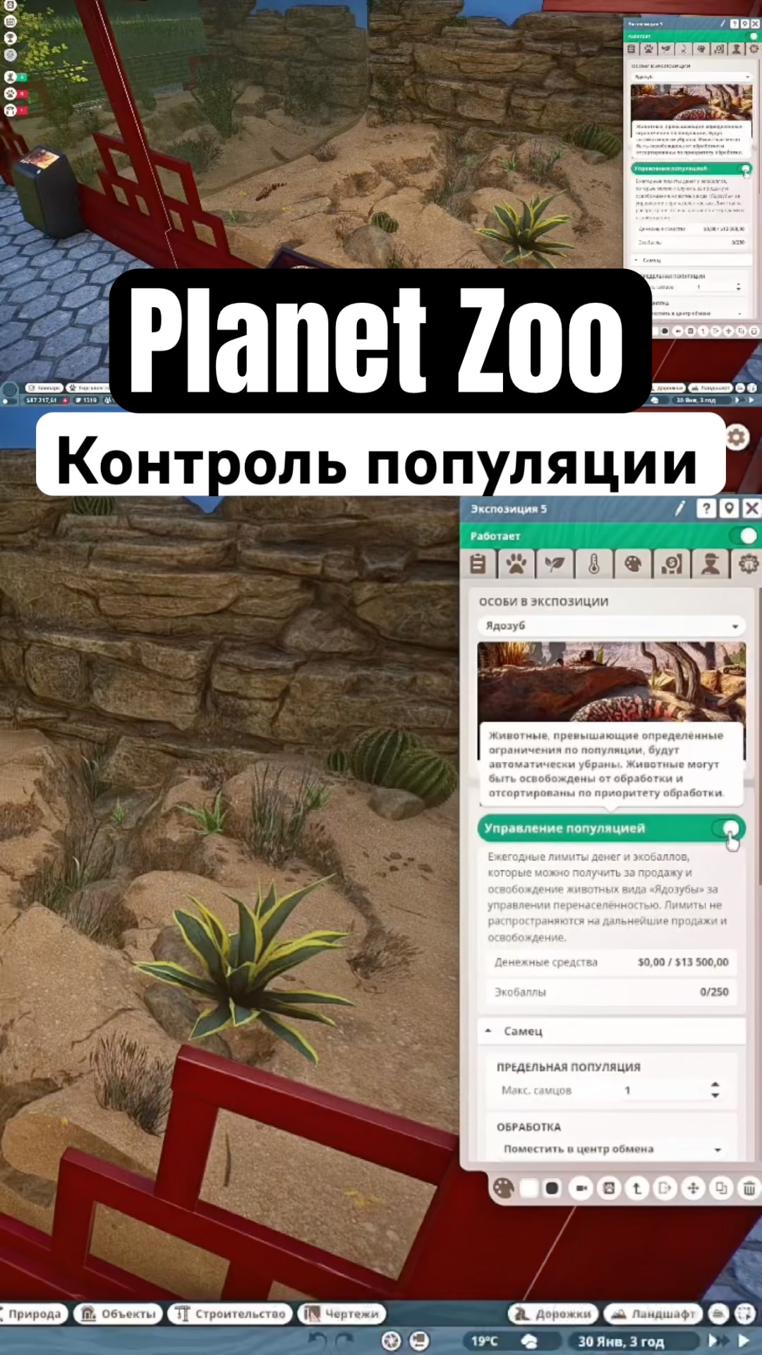 Managing Population in Planet Zoo - YouTube