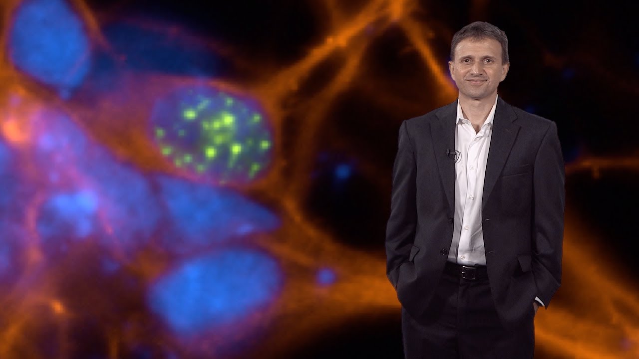 Neuroscientists Reverse Some Autism >> Bench To Bedside Drug Discovery In Neuroscience Ricardo Dolmetsch Neuroscientists Reverse Some Autism >> Bench To Bedside Drug Discovery In Neuroscience Ricardo Dolmetsch