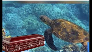 Samaki Ya Ajabu Asababisha Vifo Kisiwani Zanzibar, Rais Hussein Mwinyi Aitishwa.