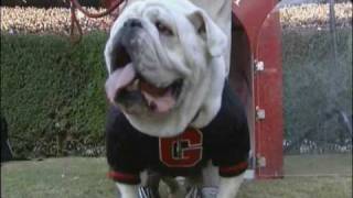 Georgia football: Flashback to the first blackout game in 2007