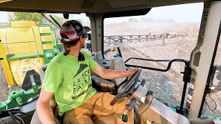 Better Late Than Never Time To Plant Black Turtle Beans