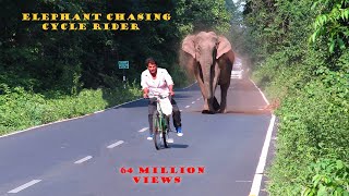 elephantchasingcyclerider