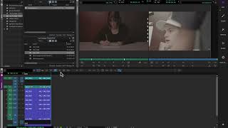 Celebrity Avid quick tutorial: tools for quickly finding the right clips Net Worth