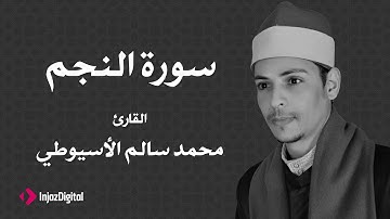 القارئ محمد سالم الأسيوطي - آيات من سورة البلد النجم