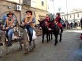 Sartiglia  2011 -  Sfilata cavallini della Giara e asinelli