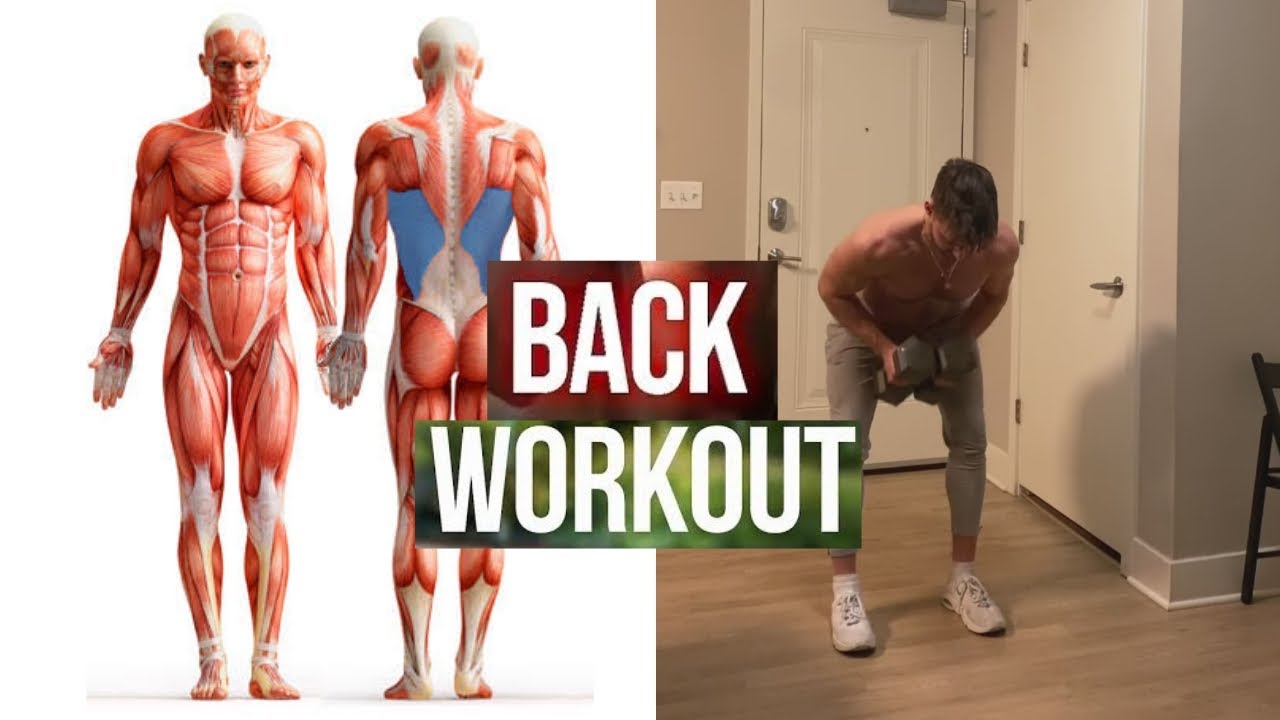 How To Build Your Back Workout (6 Effective Exercises) - YouTube